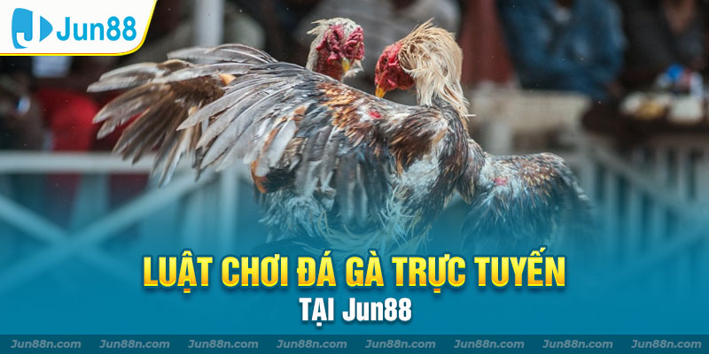 Nắm chắc các loại kèo đá gà online